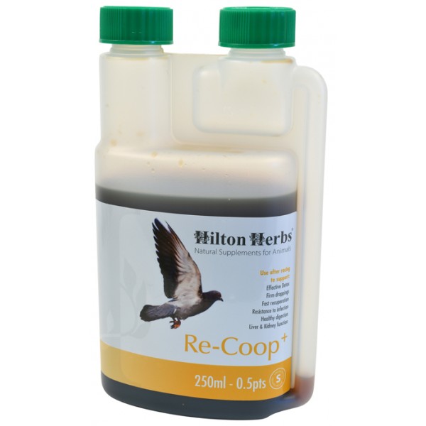 Re-Coop+ - 0.5pt Bottle